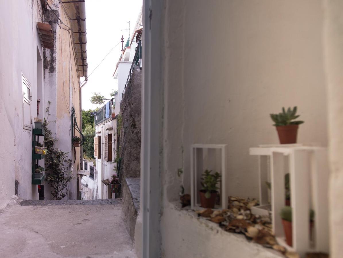 فيلا Amalfi Coast Sea View Vietri المظهر الخارجي الصورة